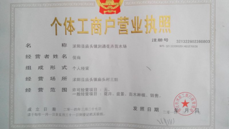 沭阳花卉苗木